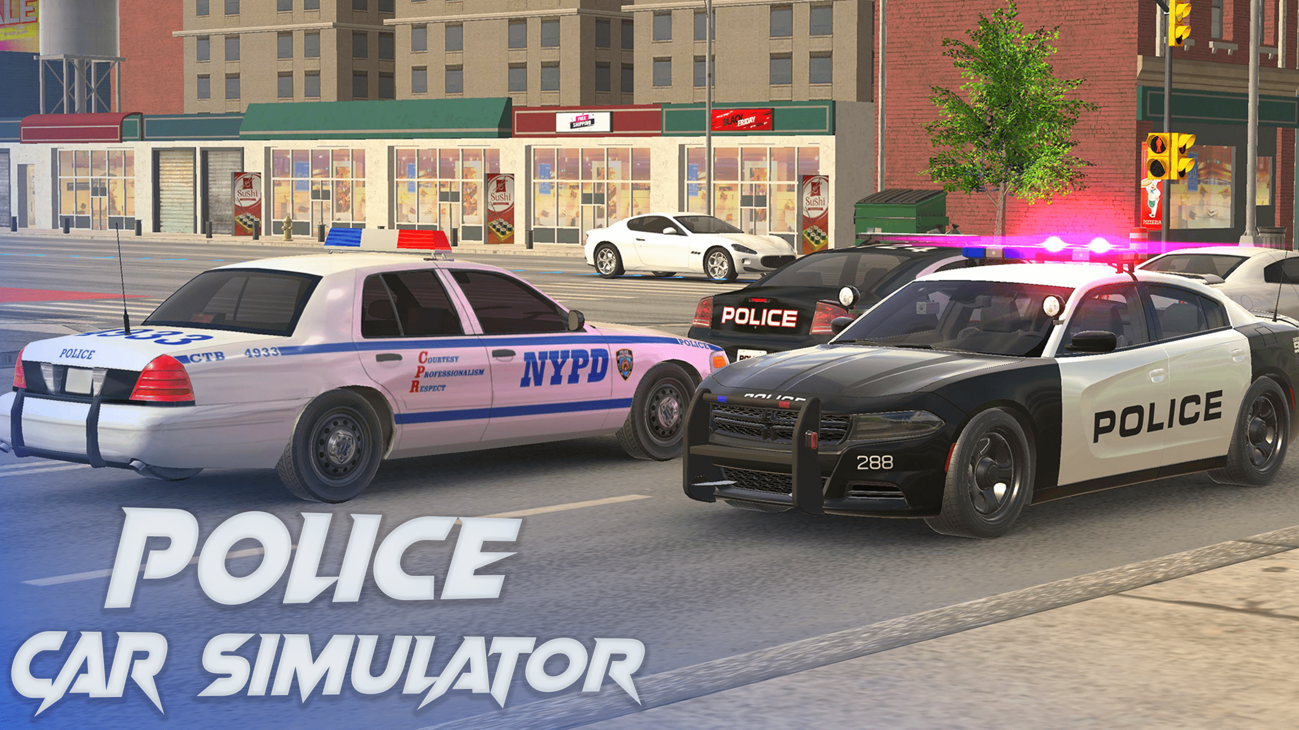 Police Car Simulator