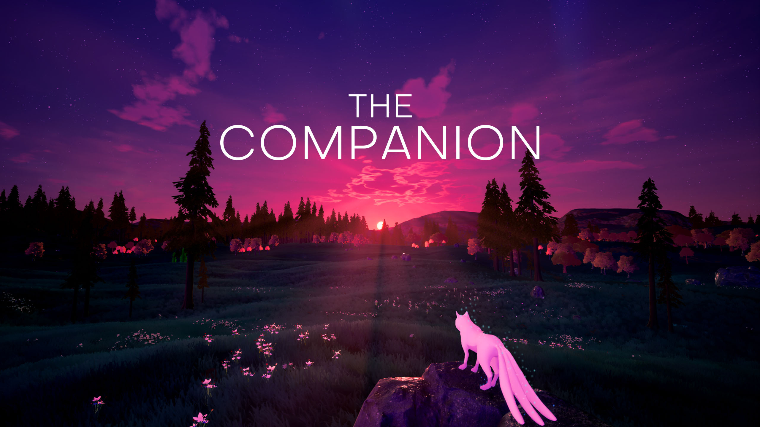 The Companion